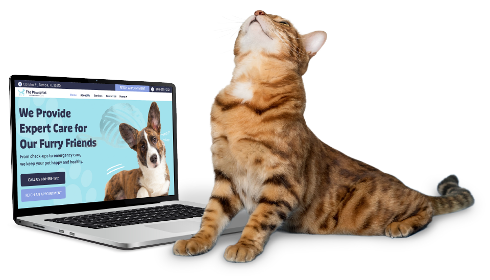 Standard Website Features 1