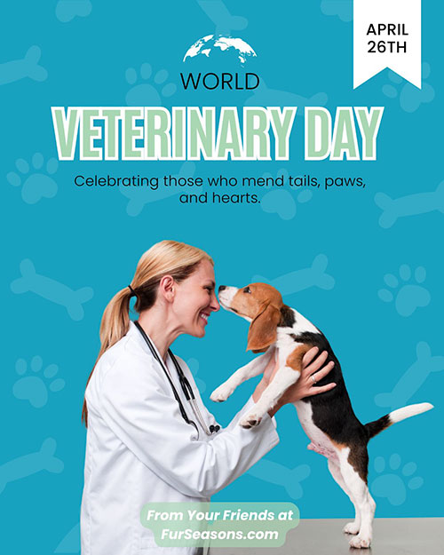 Fur Seasons Instagram