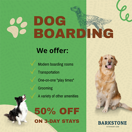 Barkstone Instagram