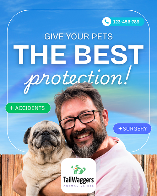 Tailwaggers Instagram